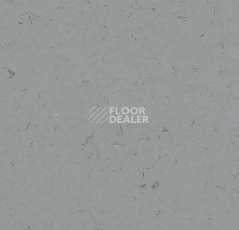Кварцвиниловые полы Forbo Allura Colour/Colour Plus C68038-651038 neutral grey фото 1 | FLOORDEALER